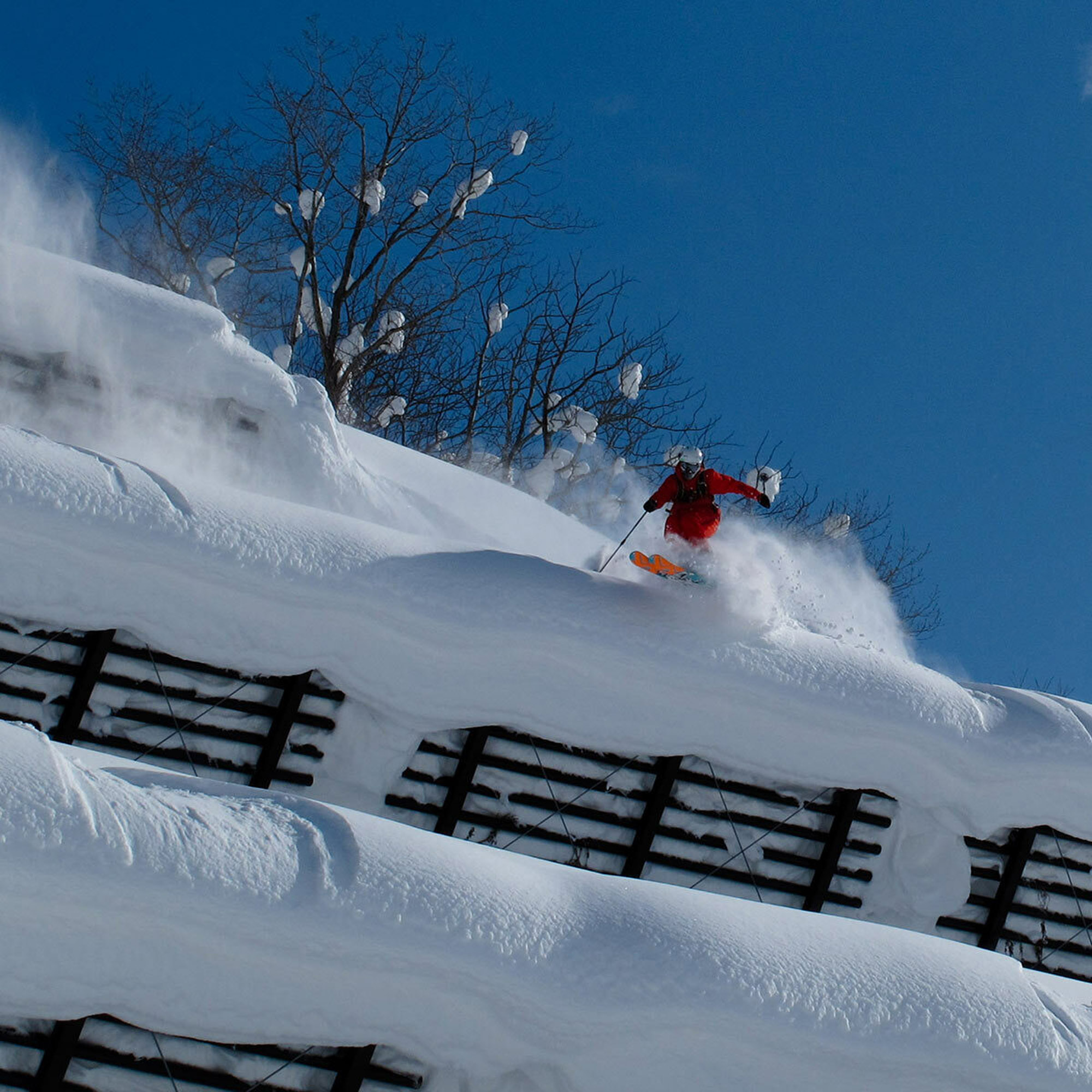 Roman Rohrmoser Roman Rohrmoser